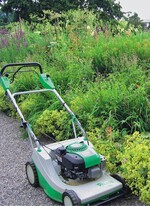Staudenpflege ist kein Hexenwerk – manchmal tut‘s sogar der Rasenmäher als Werkzeug für den Rückschnitt