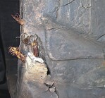 1 Solche Knickschäden entstehen meist durch das Überfahren scharfer Kanten