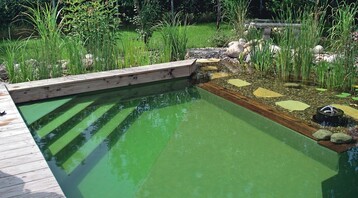 1 Platz ist in der kleinsten Htte: Miniatur-Schwimmteich von Fargo