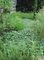 Manchmal ist es auch einfach nur frisch grün: Halbsträucher wie Rosmarin und Salbei sowie Gräser in einer mediterranen Pflanzung