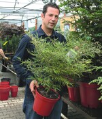 Für seine langsam wachsenden und klein bleibenden Gehölze wurde Joachim Stöckmann mit dem Innovationspreis Gartenbau ausgezeichnet