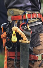 Bewährte Baumpfleger-Ausrüstung. Beim Material hat sich nicht viel getan.