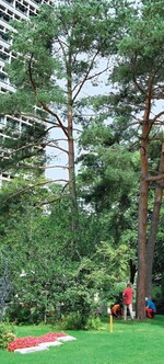 Bevor es in den Baum geht, wird erst der mündliche Teil im Fach Kronensicherung abgeprüft