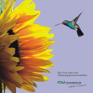 Frisches, provokantes und farbiges Design mit Bezug zu Natur und Garten: Genossenschaft Gartenheim in Hannover 