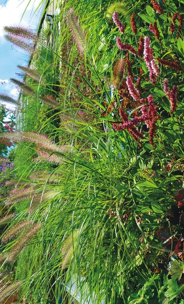 System Vertigreen von ZinCo in voller sommerlicher Pracht; verschiedene Grser und Stauden sorgen fr eine vielfltige Pflanzenstruktur