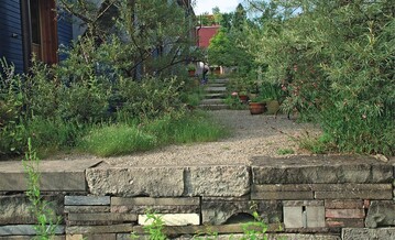 Typische Naturgartensituation: Kiesflchen, heimische Stauden und Gehlze in einer Wohnanlage in Wil/CH