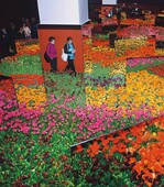 3 Gold auch für den JardinSuisse mit einem Tulpen-Spiegelkabinett