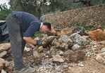 1 Archaisches Handwerk mit Zukunft: mallorquinischer Feldmaurer beim Zurichten von Mauersteinen