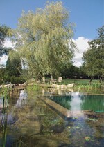 Bremsen Algen und Beläge die Expansion?