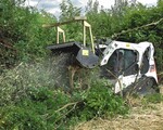 1 Der T320, ein Kompakt-Raupenlader von Bobcat im Forsteinsatz – bisher noch ein seltenes Bild in deutschen Wäldern.