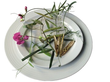 1 So manche Zier- und Wildpflanze passt auch auf den Teller; so wie Lathyrus latifolis.