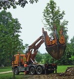 2012 soll das Schwerpunktthema der „Baumpraxis“ das Thema Baumpflanzung und -verankerung sein.