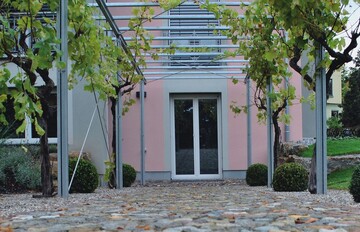 Nur noch Holz und Pflege