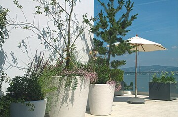 1 Moderne Architektur verlangt nach entsprechenden Gefen fr die Terrassenbepflanzung. Individuelle Formen und Farben mit vielfltigen artenreichen Pflanzungen erfllen Kundenwnsche.