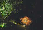 Lichtinstallation im Garten der LVG beim GaLaBau-Herbst.