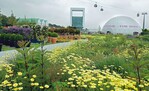 Während der Abschlussfeier wurde der Floriade-Park offiziell an den Venlo Greenpark übergeben.