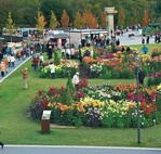 Das 20 ha große Gelände bleibt den Löbauern als Park erhalten.