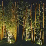 6 In den Abendstunden zeigte der Garten ein ganz anderes Gesicht; dank eines ausgeklügelten Beleuchtungskonzepts.