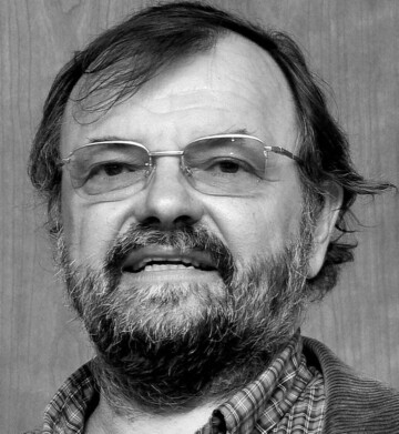 Wilfried Hlsberg