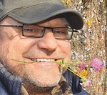 Campanula latifolia var. macrantha ‘Alba’