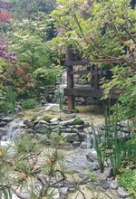 Für die als beste „Artesian Garden“ ausgezeichnete Anlage des Japaners Kazuyuki Ishihara aus Tokio war das Wetter kein Problem – der Nieselregen unterstrich eher die Wirkung.