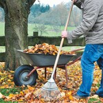 Viele Deutsche wünschen sich noch mehr Zeit im Garten
