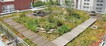 Die Dachterrasse des Umweltamtes ist FBB-Gründach des Jahres.