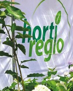 Süddeutsche Regional-Messe soll noch attraktiver werden