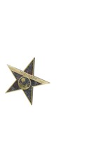 Stern am „Walk of Fame“