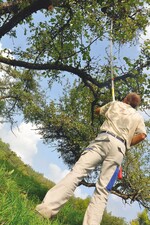 Förderprogramm für Streuobstschnitt