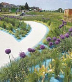 2 Die Gräser im „Windschiefen Garten“ machen die bewegende Kraft des Winds im Energiepark sichtbar.