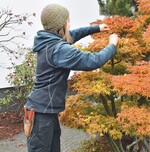 VGL weist Mitglieder auf Steuervorteile hin