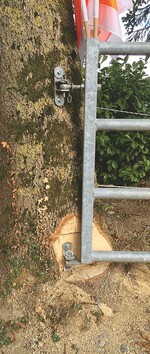 Zaunbau für Grobmotoriker