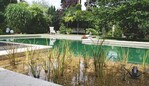 2 Ausgezeichnet: Naturpool im Villengarten von Eyßer Schöne Gärten