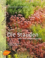 Solidago rugosa ‘Sparkler’