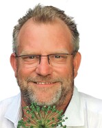 Aster novae-angliae ‘Violetta‘