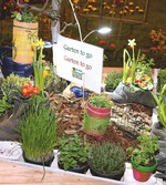 Auch die Berliner Schulen beteiligen sich.