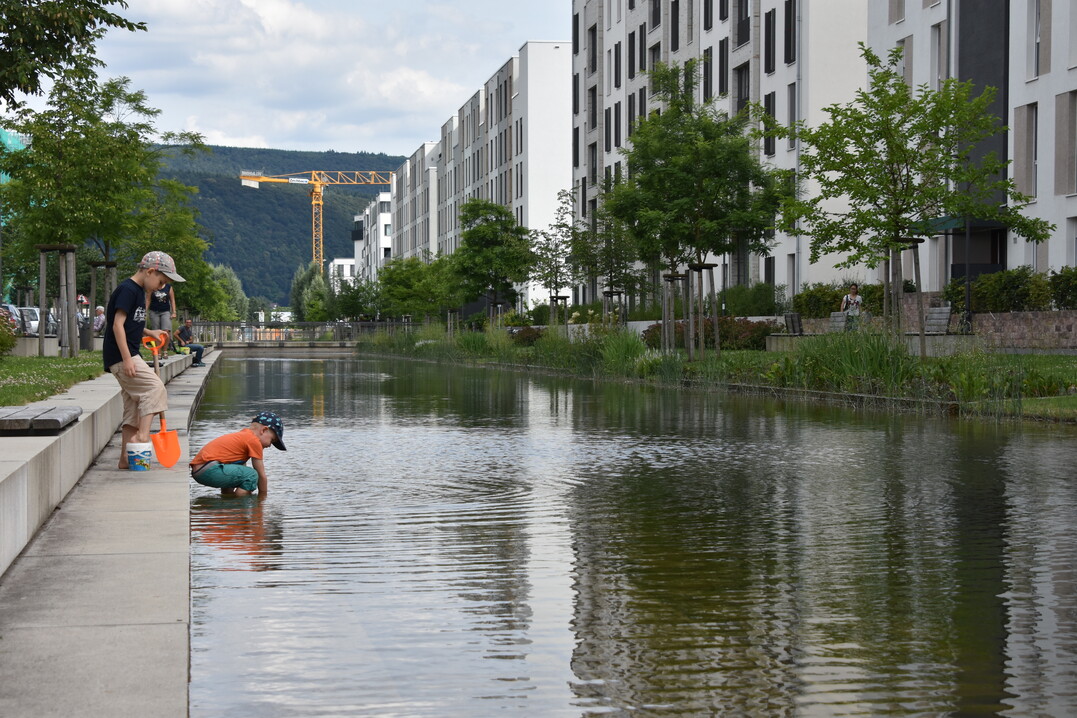 Das am 29.03.2023 von der Bundesregierung verabschiedete Aktionsprogramm Natürlicher Klimaschutz (ANK) bietet verschiedene Ansätze für Stadtnatur und Stadtgrün.