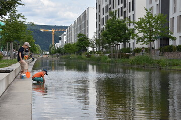 Das am 29.03.2023 von der Bundesregierung verabschiedete Aktionsprogramm Natrlicher Klimaschutz (ANK) bietet verschiedene Anstze fr Stadtnatur und Stadtgrn.
