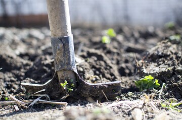 Verdichtet, zu sandig, zu lehmig oder nhrstoffarm: Bei der Umgestaltung oder bei Neupflanzungen sollte der Boden vorab idealerweise mit einer Pflanzerde oder zumindest mit einem natrlichen Bodenhilfsstoff aufgewertet werden