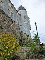 Den 1. Preis in der Kategorie „Landschaftsgärtnerische Spezialgebiete“ erhielt das Unternehmen Mörbe & Co. GmbH, Grünanlagenbau aus Kubschütz für das Projekt: „Rekonstruktion Terrassenweinberg Burgberg Meißen“
