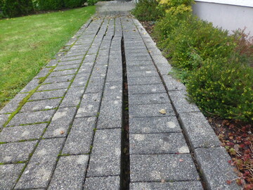 Solche Bilder, auch aus anderen Bereichen wie Holzbau oder Vegetationstechnik sucht die FLL