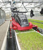 Gefäßversuch zur Untersuchung von verschiedenen Hybrid-Rasentragschichten