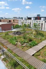 Beispielhafte Dachbegrünung - verschiedene Vegetationsbereiche, Wegeflächen und Erholungsplätze
