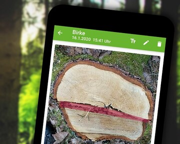 Mit der neuen App "Stockfibel to go" ist die Handlungshilfe zur Stockbeurteilung nach der 
Baumfllung jederzeit zur Hand. 