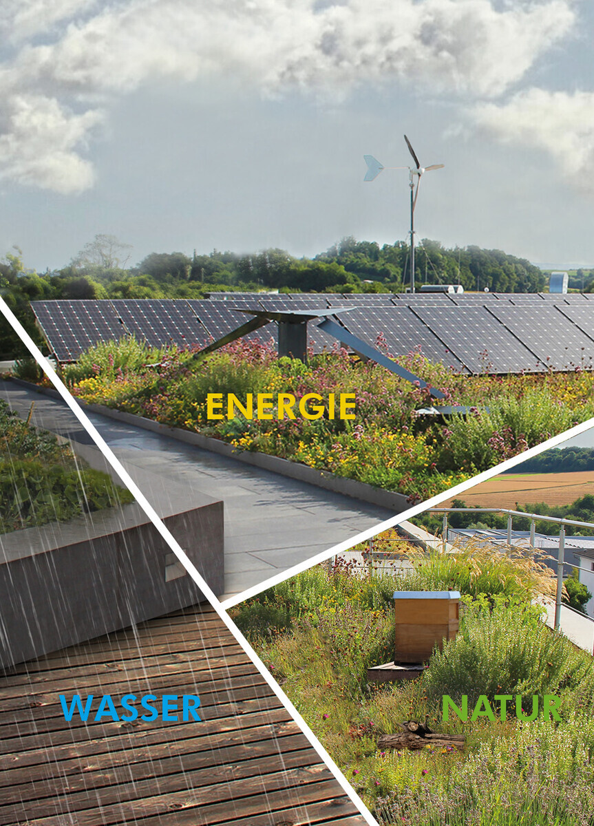 ZinCo GründachSeminare 2024 DEGA GALABAU das Magazin für den Garten