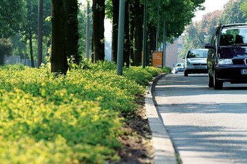 Oft unterschtzt strapazierte oder vergessen: Gerade das oft Straenbegleitgrn leidet unter stark verdichtetem Boden. 