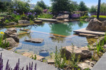 Projekt „Naturpool am Firmengelände“ von FB Garten-Architektur | 1. Platz Publikumsvoting „Wasserlandschaft“