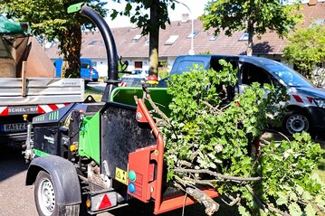 1100 mm breit ist der Einzugstisch  viel Platz, um dicht belaubte ste zuzufhren. 