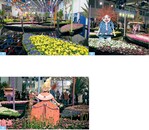 1 bis 3 „Venezianische Gondeln“, bepflanzt mit Tausenden Blütenpflanzen und dekoriert mit Figuren verschiedener Karnevalshochburgen, faszinierten die Besucher der Blumenhalle.